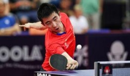 马特乒乓爆料最新消息,最新乒乓球界动态揭秘