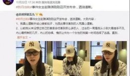 洪晓龙最新爆料新闻视频,揭秘事件背后惊人真相