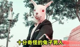戴兔子头套的娱乐爆料,揭秘娱乐圈幕后故事